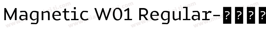 Magnetic W01 Regular字体转换